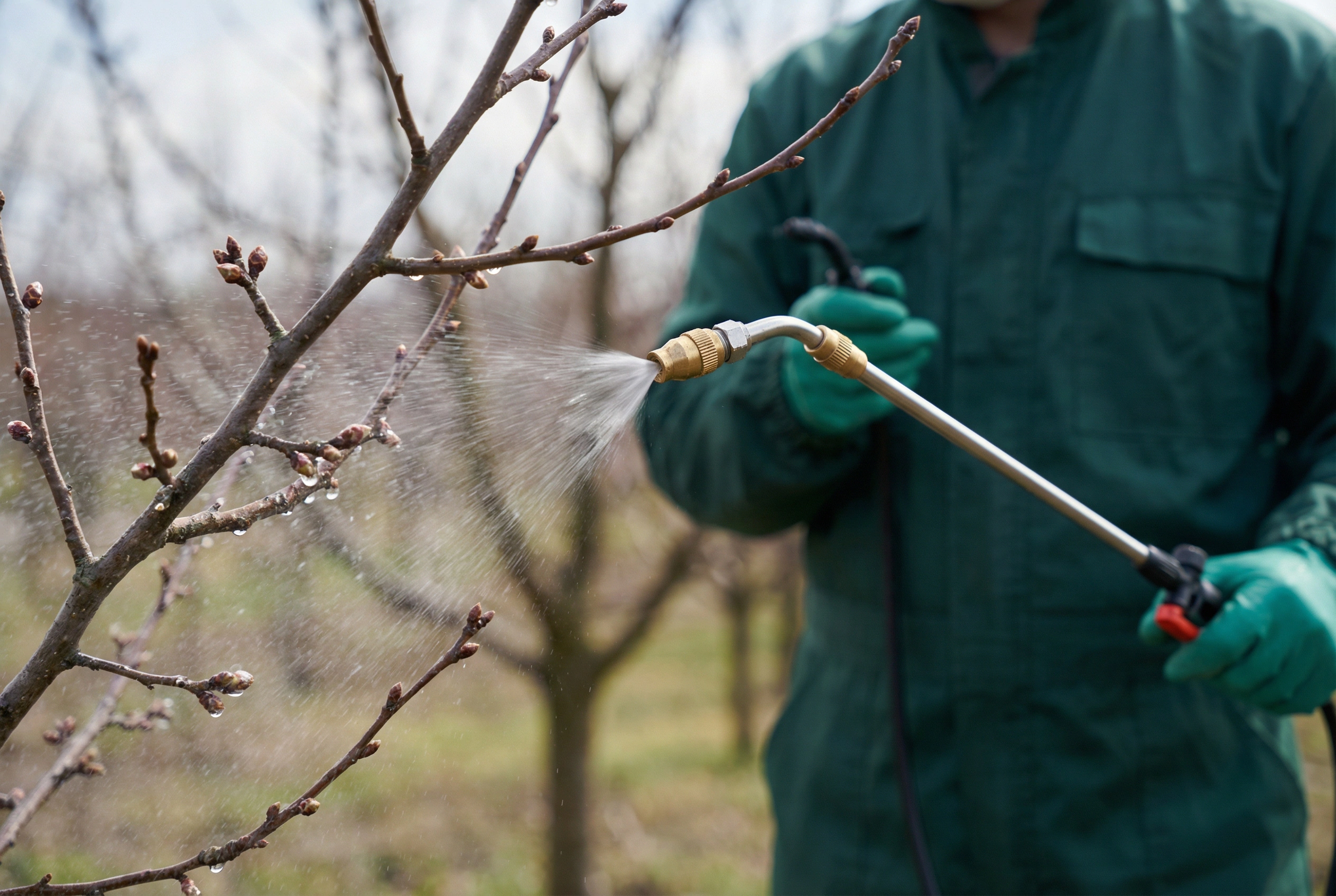 Ранняя обработка растений от вредителей